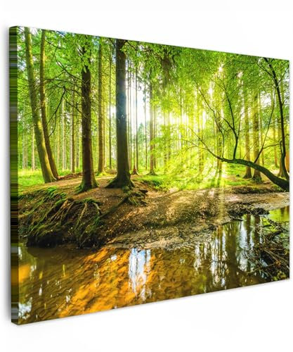 MuchoWow© Leinwandbild 80x60 cm Dekoration Wohnzimmer Bilder Aufhängen Wall Decoration Living Room Wohnungs Deko Moderne Wandbilder Bild Wald - Landschaft - Wasser - Bäume - Grün - Natur