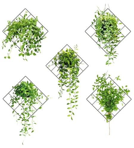 Necdeol Lot de 5 autocollants muraux 3D plantes vertes - Autocollants muraux - Feuilles de lierre vert - Autocollants muraux 3D - Pour cuisine, chambre à coucher, salon