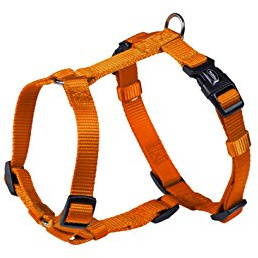 Nobby Geschirr Classic, orange Brust: 70/90 cm, B: 25 mm, 1 Stück