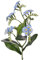 artplants.de Künstliches Vergissmeinnicht Esther, 24 Blüten, hellblau, 35cm - Myosotis Blume - Textilblumen