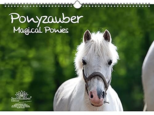 Ponyzauber DIN A3 Kalender - Immerwährender Kalender Pony und Fohlen - Seelenzauber