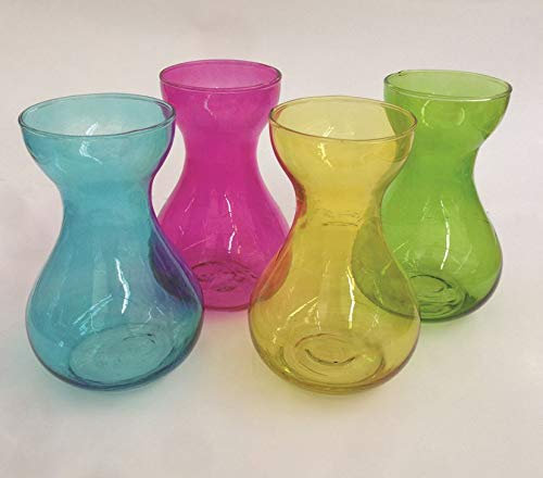 Amarillo: Jarra de bulbo de jacinto x 2. Atractivo florero de vidrio colorido