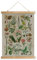 XIAOAIKA Affiche Botanique Vintage 'Plantes Dangereuses' - Poster Illustratif avec Cadre en Bois, Décoration Murale Élégante pour les Amateurs de Nature, 40 x 58 cm