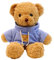 TROYSINC Teddybär Weiches Fell Teddybär mit Kapuze Tatzendruck Plüschtier Kuscheltier Stofftier Geschenk (Blue,50cm)