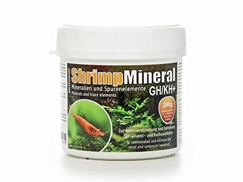 SaltyShrimp Shrimp Mineral GH/KH+ | 200g – Mineralsalz. Speziell für Haltung & Zucht von Garnelen entwickelt. Für neutrales Aquariumwasser & Remineralisierung