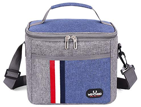 Spring Country Lunch Box Insulated Lunch Bag Large Cooler Leakproof Lunch Box Container for Adults, Children, Women and Men (Blue)