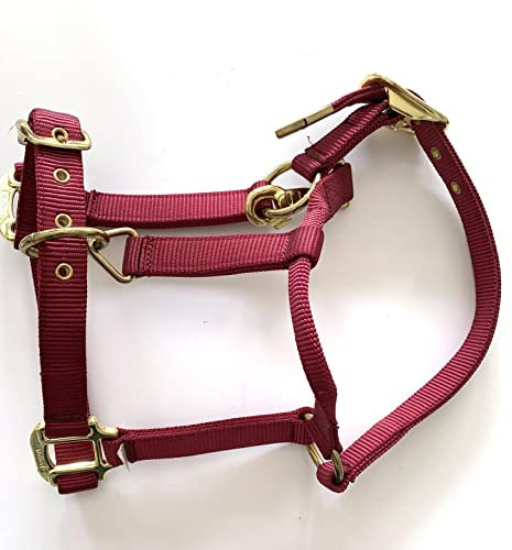 Generic Gurthalfter Halfter Colorado verstellbar mit Messingbeschlägen (Bordeaux)