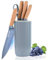 Messerset mit Messerblock Set, 6 teilig Küchenmesser Set Scharf, Antihaft Rutschfestes Edelstahl, Kochmesserset mit Universal Messerblock von Fleisch/Gemüse/Obst, das Scheiben (blau)