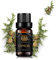 Aromaterapia ciprés Aceite esencial para difusor, 100% puro Cypress aceite perfumado para humidificador, 0,33oz-10ml Grado Terapéutico Cypress fragancia aceite esencial para masaje, Casa