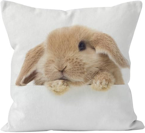 CEVAN Leinen Kissenbezüge Nordisch Kissenhülle Personalisiert Kaninchen Kissenbezüge Gartenmöbel Kissenhülle Anthrazit Kissenbezüge Sofa Dekor 50x50cm,1Pcs