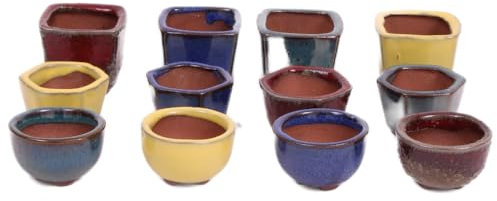 generisch 12er-Set Bonsai - Schale, Mameschale, Minischale ca. 4.5 cm 52001