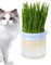 Cat Glass Planter – Hydrokultur-Topf, transparent, für Katzen im Innen- und Außenbereich, Zubehör für Haustiere | Katzentopf aus Glas mit Keimtablett, Set