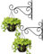 Nuptio 2 Soportes para Cestas Colgantes para Exteriores, Ganchos para Colgar El Jardín Metal Negro, Ganchos para Vallas 25cm Longitud para Cestas Colgantes para Comederos Pájaros Jardineras