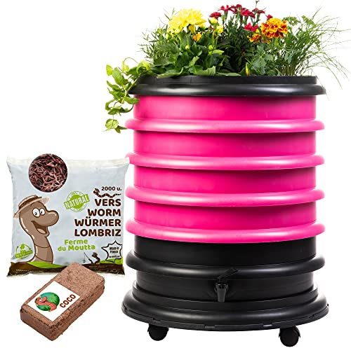WORMbox | Wormery Worm Farm composter 4 Fuchsia Trays + Planter + 1kg of Compost Worms / 2000 ctn + 1 Coco | 64 liters | Organic Waste Compost, make your Worm Castings