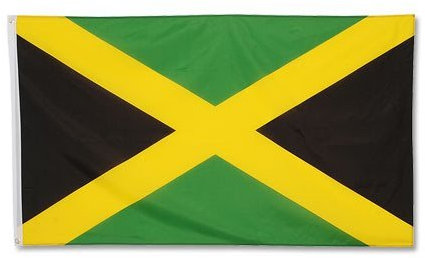 Digni® Drapeau Jamaique 90 x 150 cm