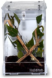 Habistat HabiStat - Clear Home - Small - Transparent Design - Durable Glass Tank - Reptile Tank - Glass Enclosure - Wire Mesh Top - Side Ventilation - Suitable for Reptiles & Invertebrates