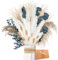 ZJTAPE Pampa Séchées - Eucalyptus Séchés Naturel, Decoration de Bouquet de Fleurs Séchées Travaux Manuels pour Table de Mariage, Vases de Salon, Mariage, Décoration d'intérieur Boho