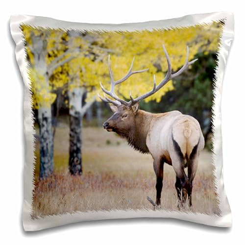 3dRose Elk Wildlife-Wapiti-Rocky Mountain Np-Colorado-Na02 Rnu0564-Rolf Nussbaumer Design-Kissenbezug, Weiß, 16 x 16