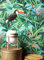 NEWROOM Papier peint Turquoise Jungle Intissé - Tropical Vert Multicolore Feuilles Toucan Floral