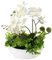 Oairse Artificial Flowers Artificial Orchid in Pots White Fake Flowers Real Touch Phalaenopsis Silk Flower Faux Orchid Plant Arrangment Decorative Artificial Flora for Home Room Kichen Wedding, 34CM