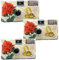 Lot de 3 appareils photo jetables 1A PORST - Roses de mariage - Avec anneaux - 27 photos