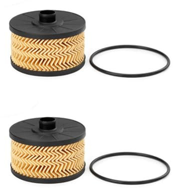 Viviance Filtro olio compatibile con Dacia Dokker Logan Duster compatibile con Nissan Qashqai Juke compatibile con Renault Captur Megane compatibile con Smart - 2PCS