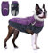CITÉTOILE Hundemantel Wasserdichter, Hundejacke Winddichte Wintermantel Hund Outfit mit Reflektierender Streifen und Reißverschluss, Lila, M