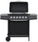 Gasgrill mit 6 Flammen Stahl Schwarz, 44281