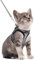 rabbitgoo Katzengeschirr Katzenleine Set Katzengeschirr mit Leine Geschirr Katzen ausbruchsicher verstellbar weich mit reflektierenden Streifen für Katzen Kitten Welpen Cat Harness Leash Grau S