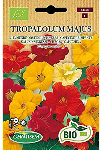 Germisem Kapuzinerkresse TROPAEOLUM MAJUS ECBIO1598
