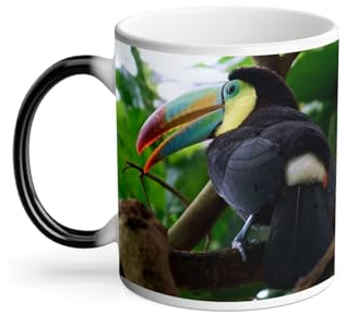 Thermoreagierende Tasse Magische Tasse – Tukan im Wald Wildlife Vogel Dschungel – 325 ml