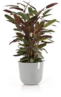 Ecopots Oslo Blumentopf 35 cm Weiß Grau - Nachhaltiger Blumenkübel aus Recyceltem Kunststoff mit Wassertank UV-Beständig & Frostsicher