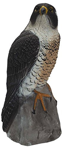 Sport Plast Faucon Pèlerin - Épouvantail Ultraréaliste pour Protéger Jardins et Balcons