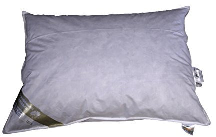 Betten Hofmann Canada Kopfkissen prall 70x90 cm Federkissen Kissen 30% Daunenanteil 1250g