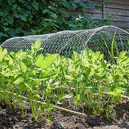 Garden Mile 5m Chicken Wire Mesh Roll - Chicken Wire for Pet Rabbit Chicken Fencing square Wire Mesh Fencing, Galvanized Anti Rust Wire Poultry Netting 5m x 1m