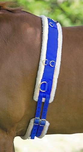Horse Master Best On Horse Fleece Padded Lunge Roller - Pony Horse Lunging Equipment with Adjustable Girth - Cob Under Belly Belt Strap for Training Schooling Outdoor Breaking Stable Yard, Royal Blue