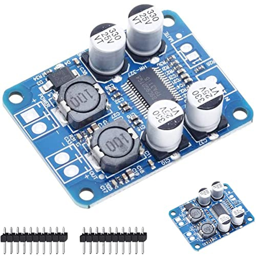 DAOKAI 2Pcs TPA3118 Mono Amplifier Board 1x60W High Power PBTL Single Channel Digtal Audio Power AMP Module DC 8-24V for Audio System with 20pin