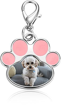 Jovivi Personnalisé Porte Clef Photo Gravé Pendentif Patte de Chien Porte-Photo Médaillon Porte Clé Mémorable pour Chien Chat Animal(Rose)