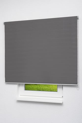 LYSEL Outlet - Basisrollo Dekoria Mausgrau (B x H) 60cm x 190cm