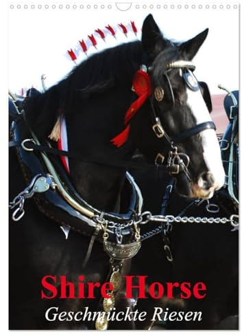 Shire Horse - Geschmückte Riesen (Wandkalender 2026 DIN A3 hoch), CALVENDO Monatskalender: Traditionell geschmückte Shire Horse (CALVENDO Tiere)