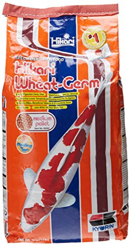 Hikari Usa Inc. 48951/2072 AHK06382 Wheat Germ 11lb, Medium by