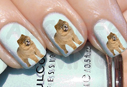 AWS Set Water Newsee Decals Brown Chow Chow Dog Nail Art Stickers Puppy Dog Stickers Puppy Transfer Transferable to Water