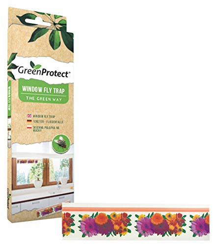 Green Protect Window Fly Trap - Colourfull Window Fly Stickers, Insect Flies Wasp Pest Killer - Kitchen, Garden and much more - Pack of 6