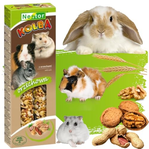 2x Hamster Rabbits Two Sticks Food NUTS Flavor 115g Seed Treats Guinea Pig Rat Mouse Gerbil Rodents Small Animal Pet Vegetable Foods Degu Snacks