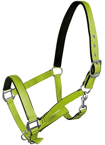York Pferde Halfter Fluo weich unterlegt Stallhalfter Weidehalfter Reithalfter (Pony, grün)