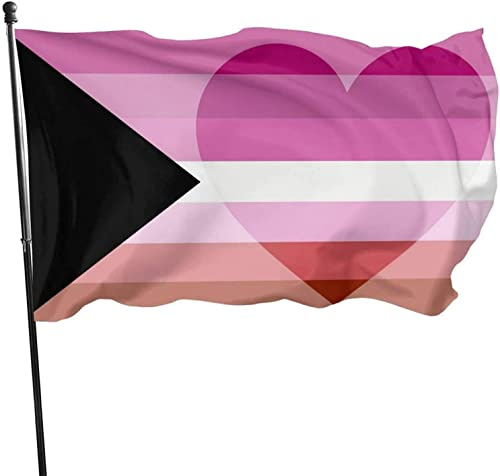 Demiromantic Lesbian Pride Flagge 3 x 5 Ft Banner Willkommensparty Outdoor