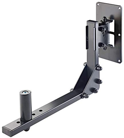 24173 Speaker Wall Mount