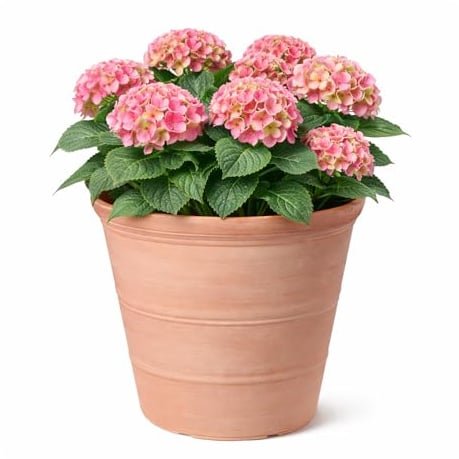 Jack Stonehouse Rustic Terracotta Effect 41L Planter | 100% Recycled Plastic Classic Traditional Round Garden Flower Pot | Strong & Lightweight | Frost & UV Resistant (2)