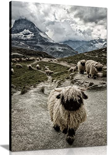 Panther Print Fine Art Prints Valais Blacknose Sheep Herd Nature Artistic Framed Canvas Print, Pictures for Home Walls, Bedroom, Living Room & Bathroom Decor 31x20cm (12x8in)