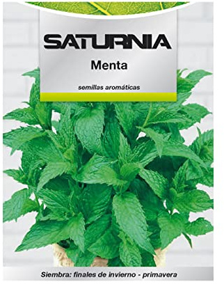 SATURNIA Semillas Aromaticas Menta (0.3 Gramos) Horticultura, Horticola, Semillas Huerto.